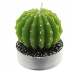 Świeczka Duży Tealight - Kaktus Kula